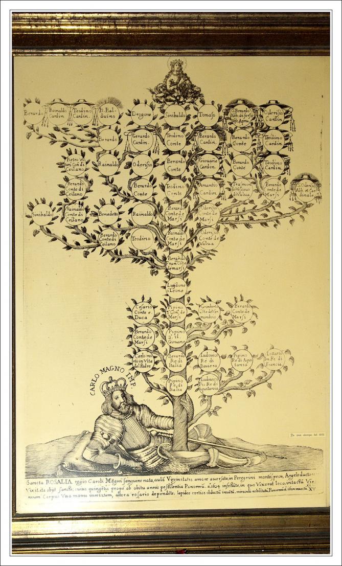 Palerme arbregene 1739